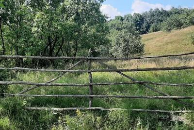 Teren vanzare comuna Cerasu, Prahova