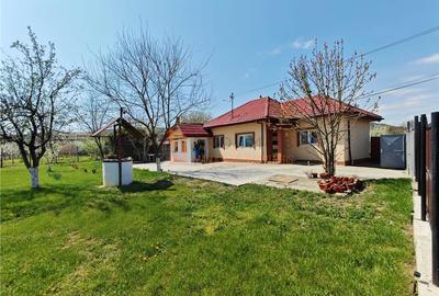 Casă individuală cu 2 camere cu Teren 1983 Mp în Cândești - 3