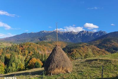 Teren de 500 mp, în Bran - 1