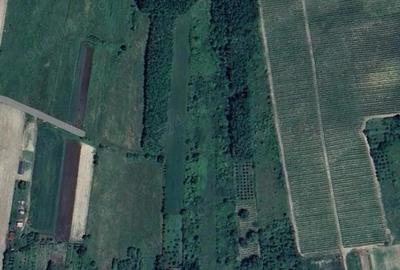 Teren intravilan extravilan in Draga?ani , str Regele Ferdinand - 7