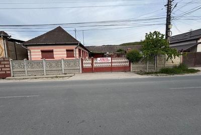 Casă cu Teren 5000 Mp în Chișcădaga - 5