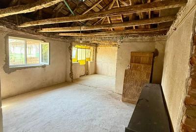 Vand casa cu teren generos, acces direct la DN, Balta Doamnei - 1