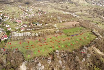 Teren Construcții intravilan de 23345 mp, în Cornu de Jos (Cornu) - 1