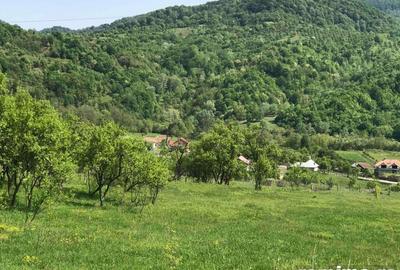 Teren în Stoenești - 2