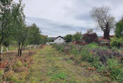 Teren de 1200 mp, în Goranu - 4