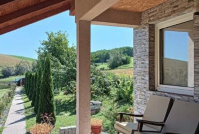 Casă cu 2 camere cu Teren 1751 Mp în Periferie - 12