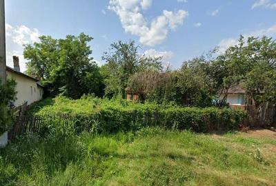 Casă în Curcubeu - 4