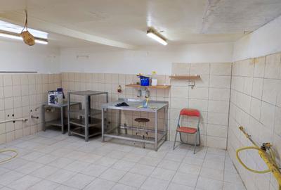 Casă cu 4 camere în Pantelimon - 6