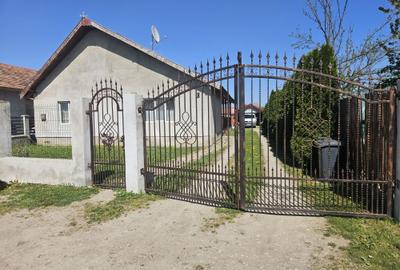 Casă cu 3 camere în Lunca Mureșului