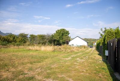 Teren Construcții intravilan de 827 mp, în Zărnești - 7