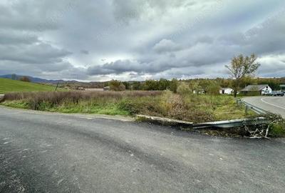 Teren intravilan 3.749 mp Beznea, com. Bratca, jud. Bihor - 3