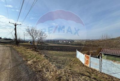 Teren PUZ aprobat , 2.500mp Sibiu / Strada Gorunului - 4