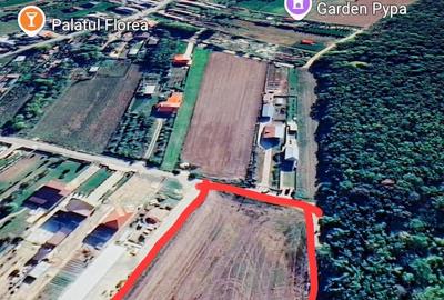 Teren de 5300 mp, în Poiana lui Stângă - 4