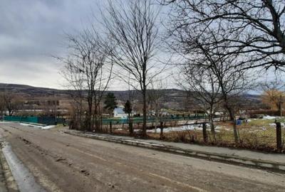 Oportunitate de investitie, teren intravilan Husi, 10435 mp - 3