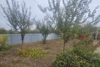 Casă cu 1 camere cu Teren 3000 Mp în Central - 8