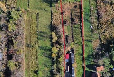 Casă cu 2 camere în Banat - 5