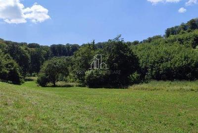 Teren de 20 mp, în Daneș - 14