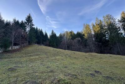 De vanzare 6850 mp pasune langa Manastirea Doroteia - Frasin /Plutonita - 12