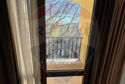 Apartament 2 camere cu terasa Gara de nord - 17