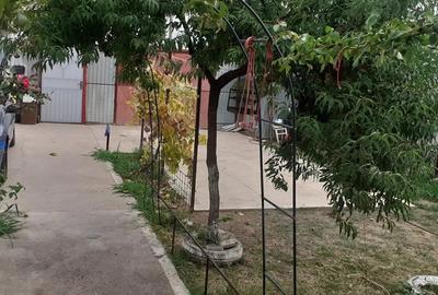 Vand casa noua zona Vidin Vand casa noua zona Vidin - 9