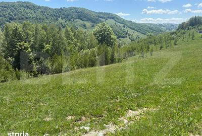 Teren de 1000 mp, în Băișoara - 2