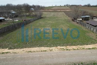 Teren de 4000 mp, în Bazga - 1