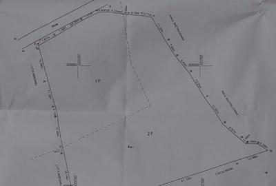 Vând teren 4200mp, int și ext în Romani  de jos - 7