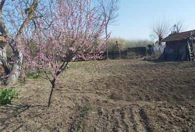 Casă cu 5 camere în Vieru - 4