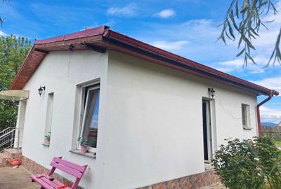 Casă cu 2 camere în Bod - 2