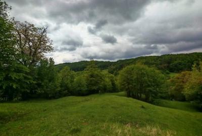 Spațiu comercial, în Drajna - 3