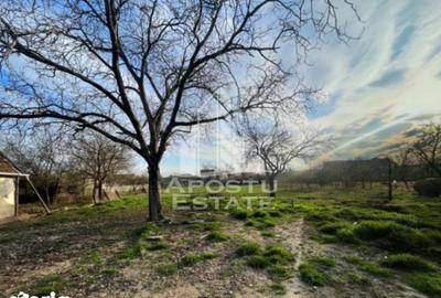 Teren de 1575 mp, în Sânnicolau Mic - 1