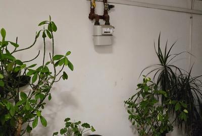 Apartament cu 2 camere decomandat, mobilat în Timpuri Noi - 12