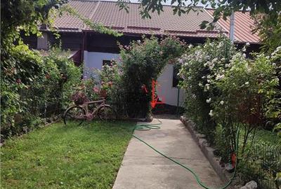 Casă individuală cu 3 camere cu Canalizare în Chitila - 11