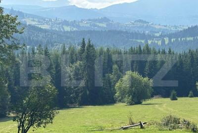 Vanzare teren intravilan de 2 hectare, in Pasul Tihu?a - 1