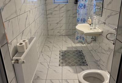 Casă cu 3 camere în Cărpiniș - 8