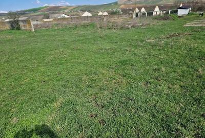 Teren de 15000 mp, în Cămărașu