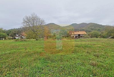 Teren intravilan de vânzare – 1.350 mp – Comuna Alexandru cel Bun - 5