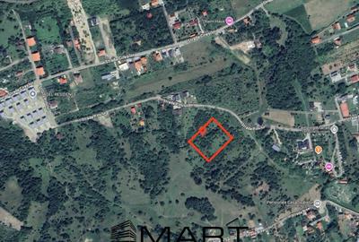 Teren intravilan 5000mp cu PUZ aprobat, CU si utilitati in C - 1