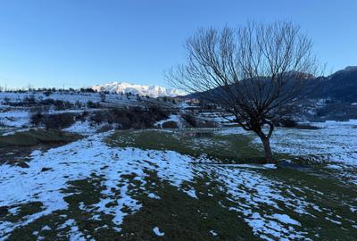 Teren Construcții intravilan de 667 mp, în Zărnești - 2