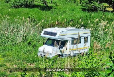 Teren agricol extravilan de 5240 mp, în Berchezoaia - 7