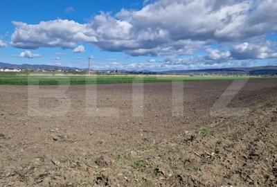 Teren de 15000 mp, în Central - 4