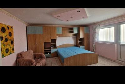 Vand apartament 1 camere Lugoj -OMV - 2