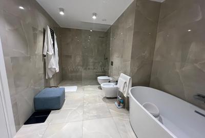 HERASTRAU ONE TOWERS  PENTHOUSE DUPLEX  VEDERE PANORAMICA - 25