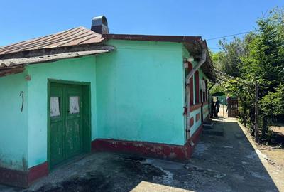 Casă cu 4 camere în Ulmu - 1