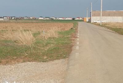 Teren de 1000 mp, în Dragomirești-Vale - 8
