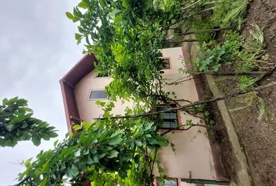 Vand gospodarie Comuna Budesti , Valcea - 7