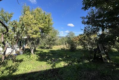 Casă cu 6 camere cu Teren 2000 Mp în Central - 9