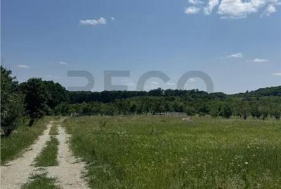 Teren de 685 mp, în Paleu