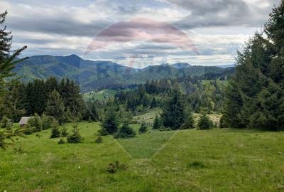 O fereastra catre cer - teren de vis in Fundata, la poalele Bucegilor - 7