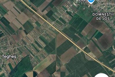 Teren intravilan de vanzare in Domnesti, sat Teghes - 2